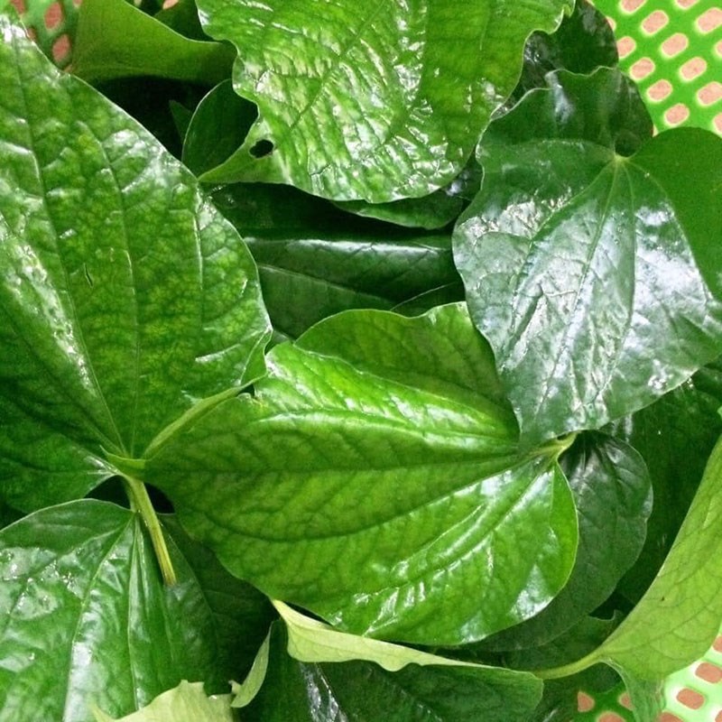 Bước 1 Sơ chế nguyên liệu Bò nướng lá lốt